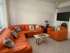 Leaving Room with Large TV