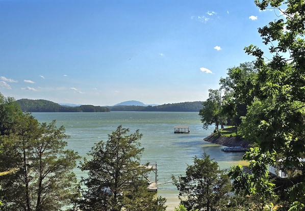View from Deck