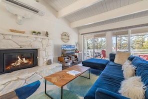 Living Room Fireplace and Mini Split