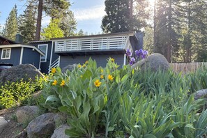 Sunny Deck