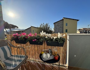 Pot De Fleur, Balcon, Plante D'Appartement, Floristique, Art Floral, Cour