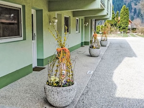 Garden, Concrete, Flowerpot, Yard, Landscaping, Houseplant, Walkway, Courtyard, Cobblestone