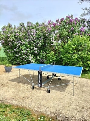 Table de ping-pong disponible d'Avril à fin Septembre
