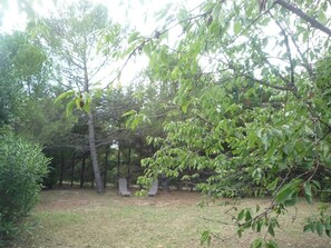 Miscellaneous