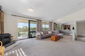 Open plan dining and living with combustion heater and ceiling f