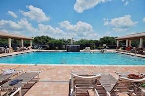 Lounge in the Sun by the Pool