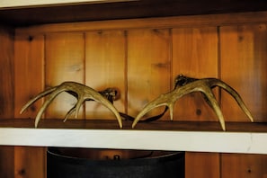 Détail de l’intérieur