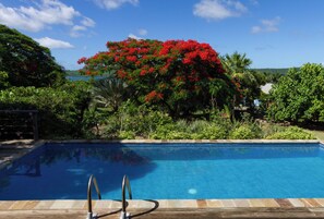 Swimming Pool The Blue House Paradise Properties Connection Antigua