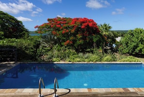 Swimming Pool The Blue House Paradise Properties Connection Antigua
