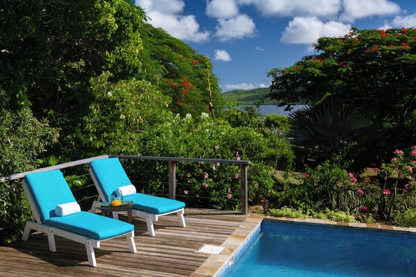 Poolside The Blue House Paradise Properties Connection Antigua