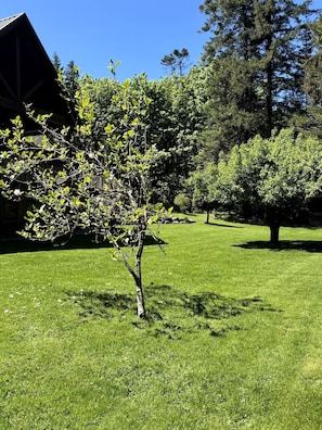 Boendeområde