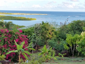 Lush grounds and views of Savannes Bay, Honeymoon Bay and the Atlantic ocean
