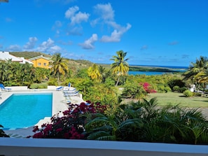Relax and dive in the pool