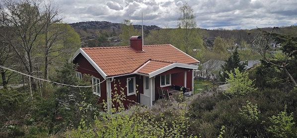 Exteriör