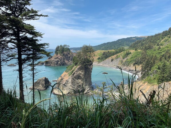 Arch Rock Viewpoint north of Brookings (only minutes from our place). 