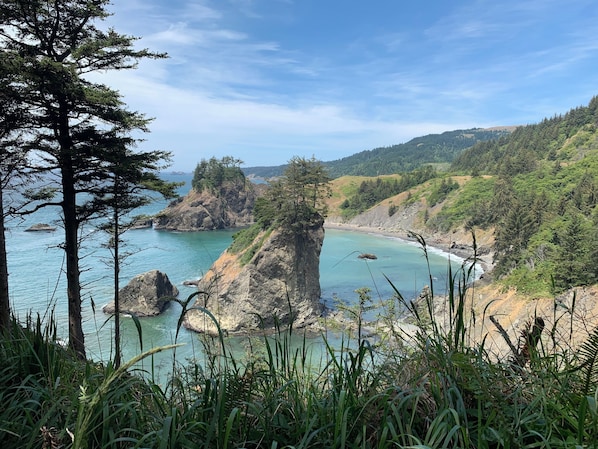 Arch Rock Viewpoint north of Brookings (only minutes from our place).