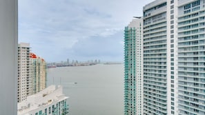 Vista desde la propiedad