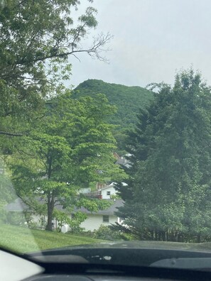 View from property
