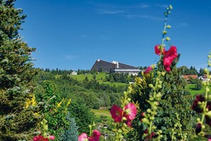 Außenseite Ferienhaus [Sommer]