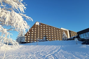 Ulkopuoli