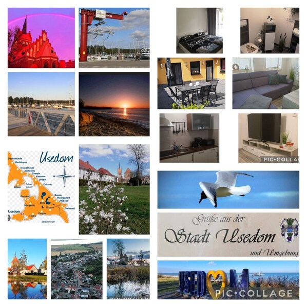 Miscellaneous