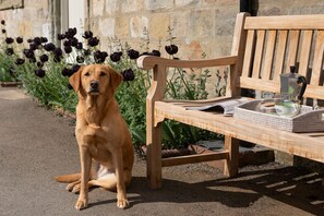 Grooms Cottage - dogs are very welcome!