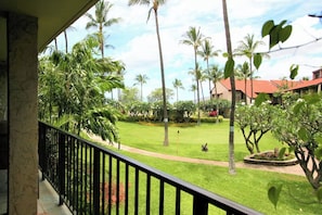 Lanai View