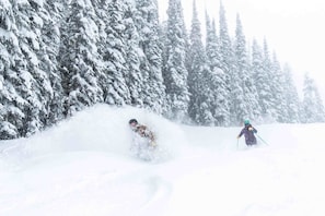 Vail Skiers in Northwoods