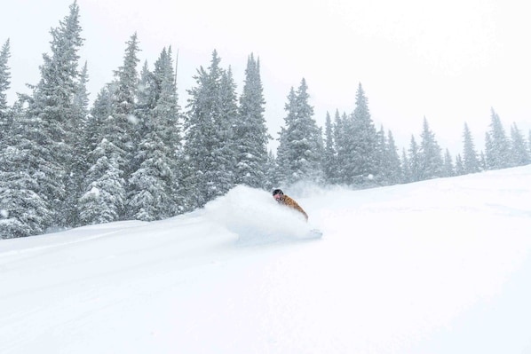 Powder Day Vail