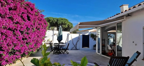 Terrace