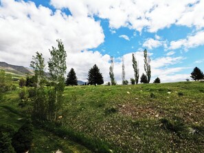 Photo non classée, 3 sur 9, bouton