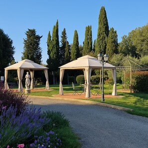 Autumn, Garden, Spring, Summer