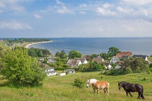 Landschaft