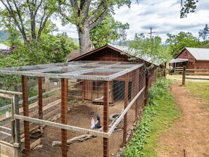 Exterior of our home. Enjoy this peaceful ranch retreat near Yosemite—relax with mountain views, fresh air and hang out with our sweet horses and chickens. Enjoy fresh eggs for breakfast from our chicken house!