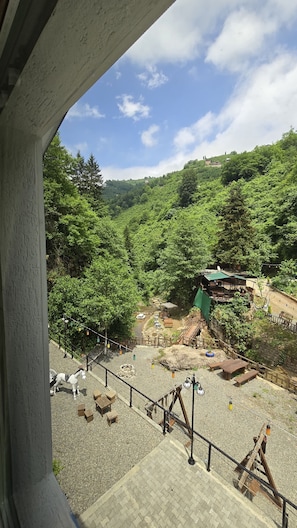 View from room