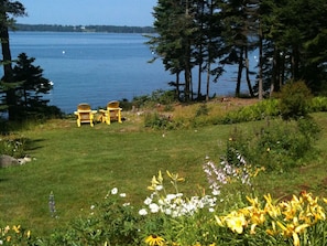 Back lawn and garden