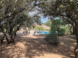 Property grounds