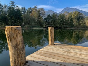 L'Eau, La Nature, Bois, Paysage Naturel, Réflexion, Banque, Lac, Matin, Planche, Quai