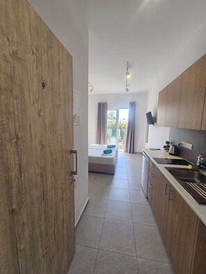 Entrance of studio apartment