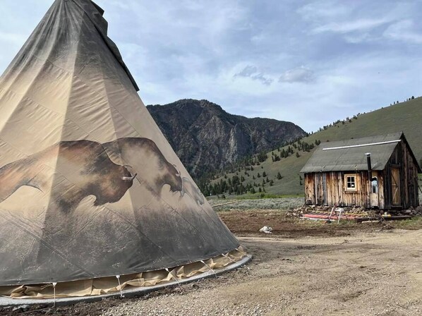 Tipi20Buffalo
