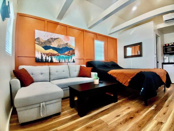 Overview of the sofa and queen bed