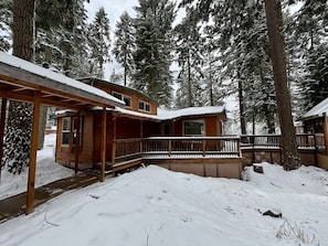 Cabin 40 pic