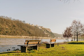 Immediate Surroundings [summer] (&lt;1 km)