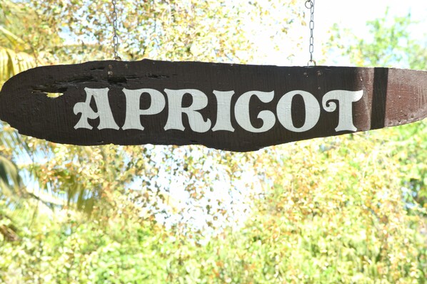 Övrigt