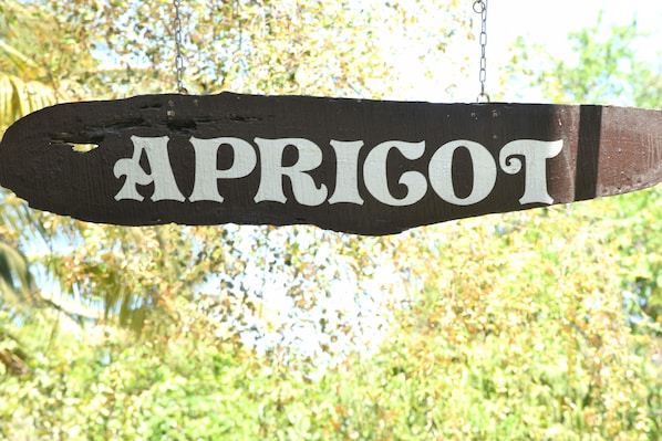 Övrigt