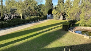 Property grounds