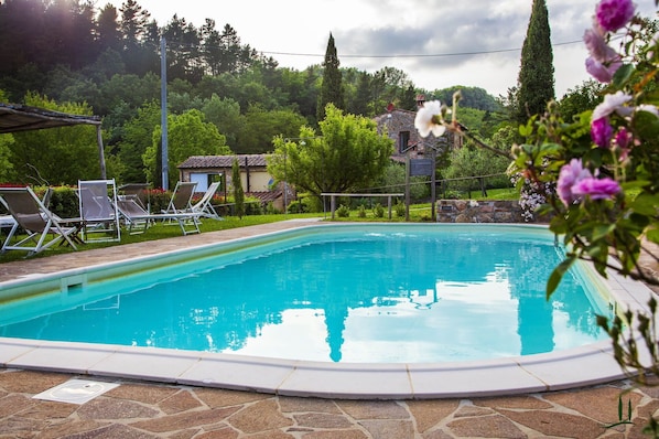 Autumn, Pool, Spring, Summer