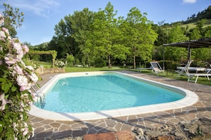 Autumn, Pool, Spring, Summer