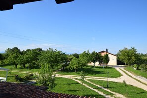 Autumn, Garden, Spring, Summer