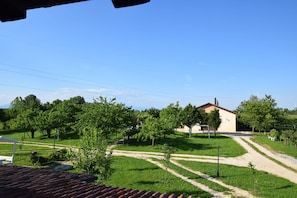 Autumn, Garden, Spring, Summer